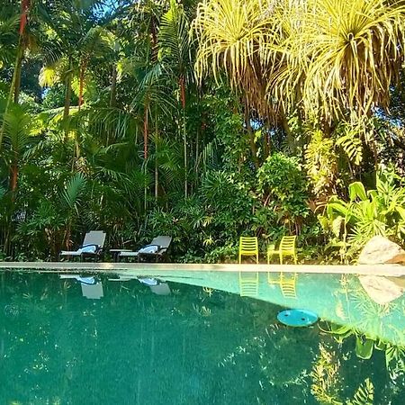 Daintree Rainforest Retreat Motel Exterior photo