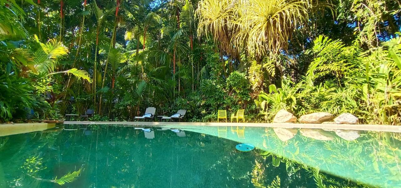 Daintree Rainforest Retreat Motel Exterior photo